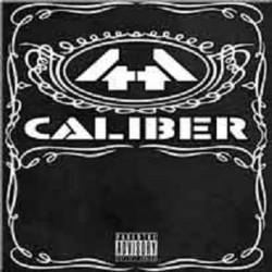 44 Caliber - Dem